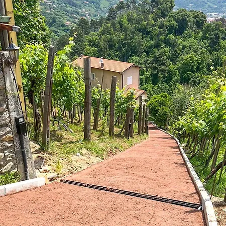 Gorgeous In With Kitchen Pietrasanta